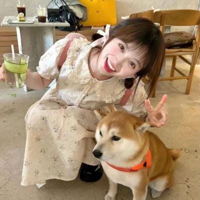了不起的小家伙们